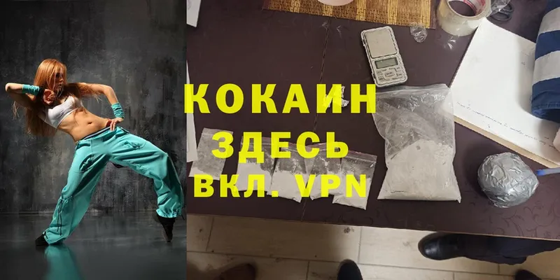 Cocaine Fish Scale Глазов